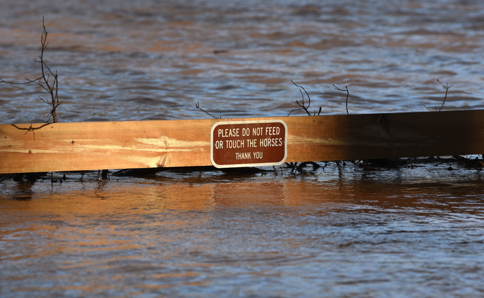 Yadkin River flooding